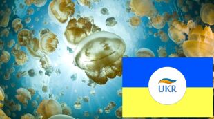 UKR.PW Webmail system Logo